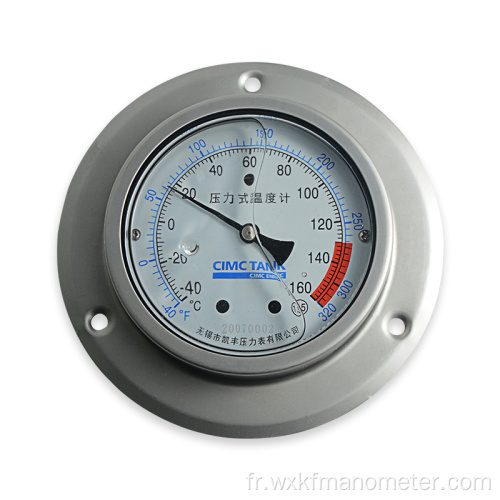 Thermomètre à anneau en acier inoxydable NPT